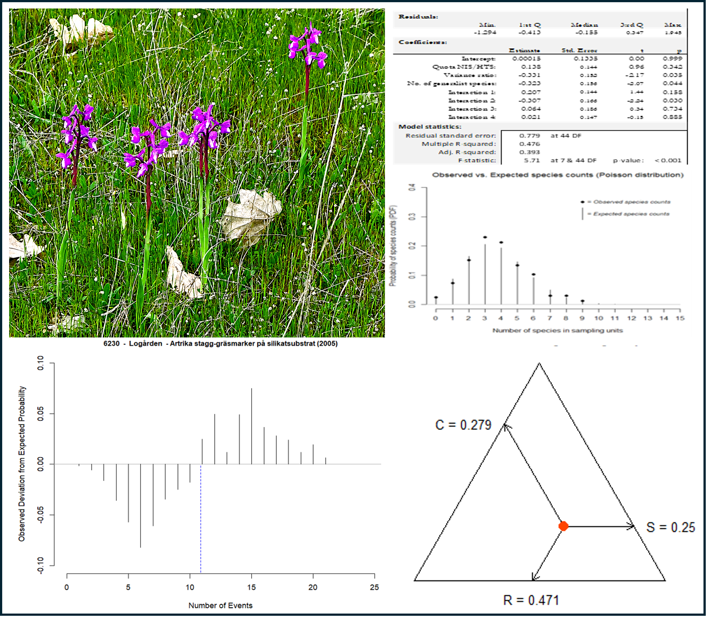 Vegetation_illstration_ESP